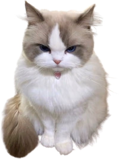 cutecattongue emote