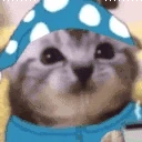 morening emote