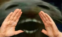 xddyell emote