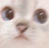 CE_Lookingatu3 emote