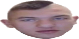 Dzicz emote