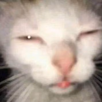 broijustwokeup emote