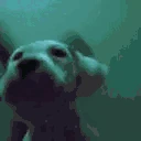 dogJAMDISCO emote