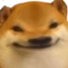doge_5head emote