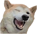 Doggo_wink emote