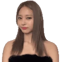 tzuyuNOPERS emote