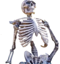 chill emote