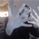 xqcL emote