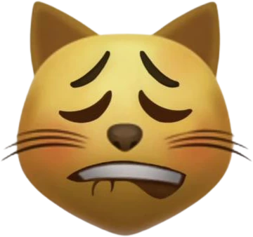 lipbite_flush_cat emoji