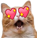 CatHeartEyes emote