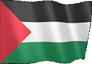 flagPalestine emote