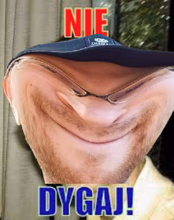 niedygaj emote