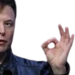 elonokay emote