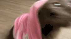 popipopipipopipo emote