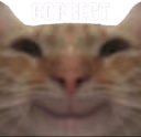 correct emote