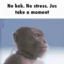 NoKek emote