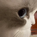oO emote