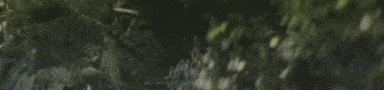 ROTK animated emote