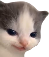 not_hehe emote