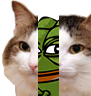 kiisu_pepe emote