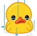 DuckSadge emote