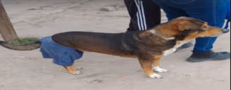 under emote