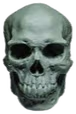 skull emote