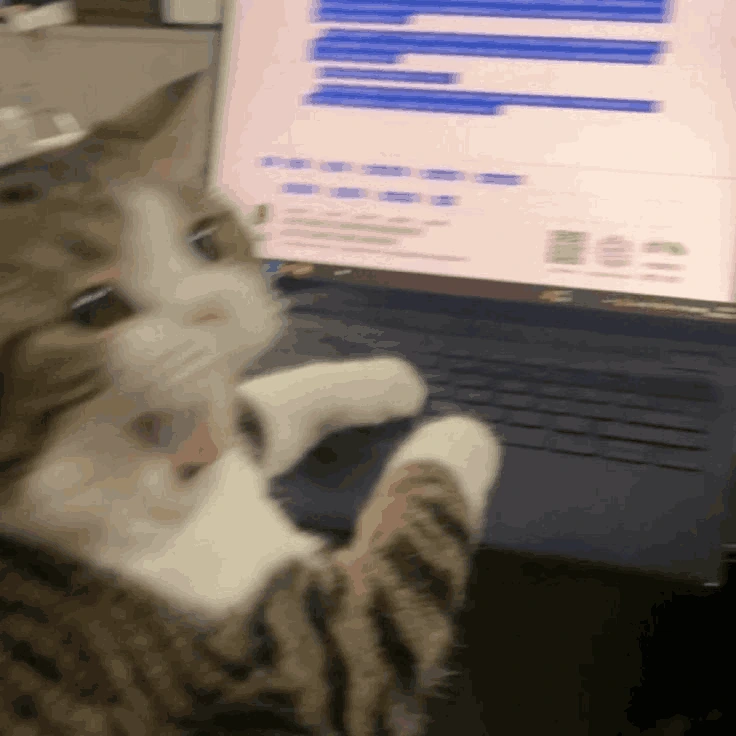 PanicCatto emote