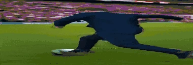 baussi emote