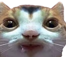 Heheuhhh emote