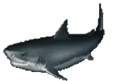 Christopher emote
