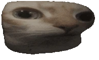 uuh3d emote