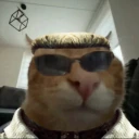 AlbuhrtWhisker emote