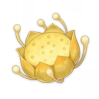 Item_Nilotpala_Lotus emote