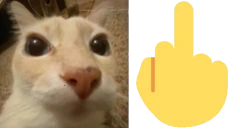 pati emote