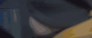 sanek animated emote
