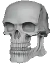 BONED emote