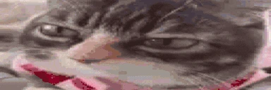 aaaaaaaaaaalright emote