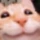 happy_cat emote