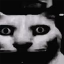 catDespair emote