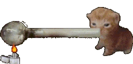 crackbert emote