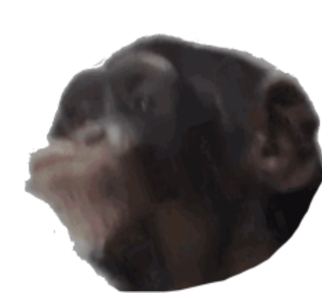 monke_pog emote