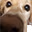 Lu_Booop emote