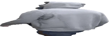 hoboWalk emote