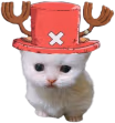 Choppert emote