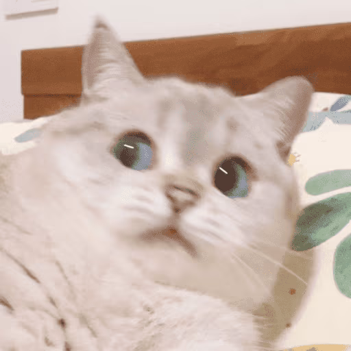 scared emote