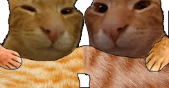 buhddies emote