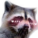 raccoon_blush emote
