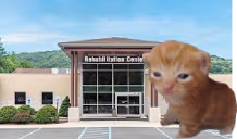 rehabbert emote