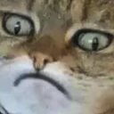 CWhy emote